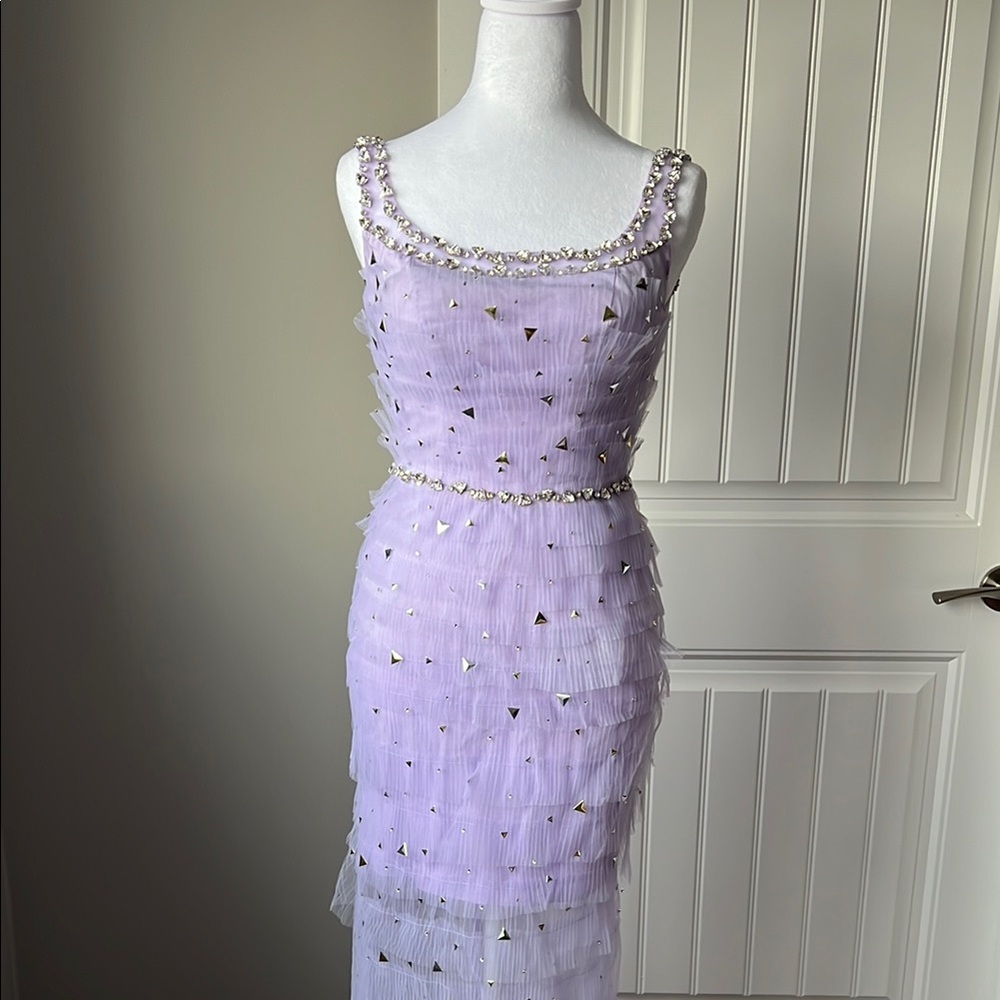 Lavender Embellished Sleeveless Gown w sheer bottom